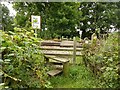 Footpath crossing the railway