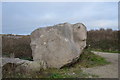 Sheep head, Tout Quarry Sculpture Park