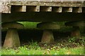 The Granary at Arlington Court (4) staddle stones