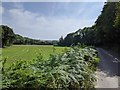 The B3193, Teign Valley road, looking south