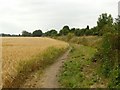 Footpath alongside the railway