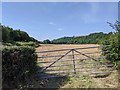 Field in the Teign valley