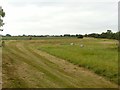 Flood bank at Fiskerton