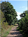 Roman Road near Norton in Stourbridge