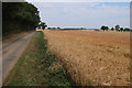 Road past Brickkiln Wood