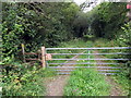 Llwybr i Goed Bryn-bach / Path to Coed Bryn-bach