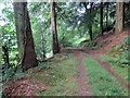 Llwybr ceffyl Allt Pant-mawr / Allt Pant-mawr bridleway