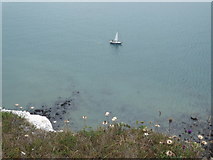 TR3542 : A lone yacht on the English Channel by Marathon