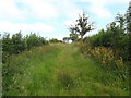 Bridleway north of Greyber