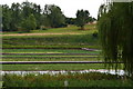 View across watercress beds, Broad Chalke