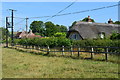 Houses at Alvediston