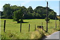 Field beside lane, Swallowcliffe