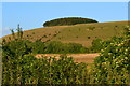 ST9324 : White Sheet Hill, seen from the A30 by David Martin