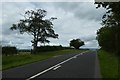 Road near Silver Wood