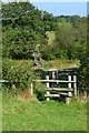 Stiles, footbridge and gate in Ansty Combe