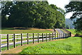 Fences beside Squalls Lane