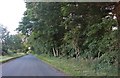 TF9801 : Woodrising Road, Scoulton by David Howard