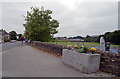 Flower-filled trough, Gilstead Lane, Gilstead