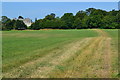 Grassy path between old and new castles, Wardour