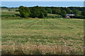 Farmland north of Hindon