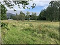 Memorial to the Battle of Killiecrankie