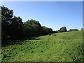 Grass field near Tregare Mill