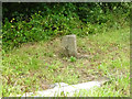 Milestone 1 mile Totnes A385