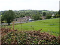 Cottages on the A50 (Newcastle Road) at Drumee