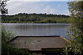 Fishing platform at Hatchmere