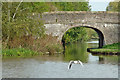 Canal bridge with gull near Nantwich, Cheshire