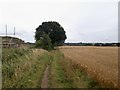 Path between the barley and the new development