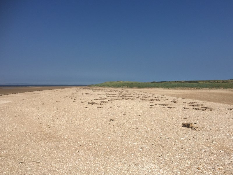 Shell covered bank, Gullane Sands © Richard Webb :: Geograph Britain ...