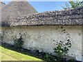 Cob (thatched) wall and small barn