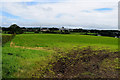 Muddy field, Ballycairn