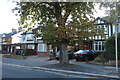 Houses on St Albans Road, Garston