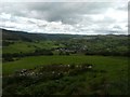 The fields of Pen-y-bryn