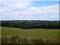 Farther Hill Field/Lower Hilly Field