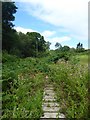 Danehill 12 Public Footpath