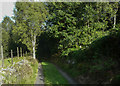 Footpath junction, Netherwood Lane, Marsden