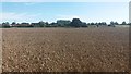 Indistinct path across towards Warren Farm