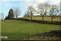 ST6657 : Fields at Withy Mills by Derek Harper