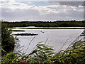 SD4213 : Woodend Wetlands, Martin Mere Wildfowl Reserve by David Dixon