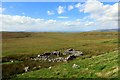 NY8611 : Sheepfold below scarp slope at Risp Howe by Andrew Curtis