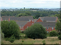 Houses on Darwin Avenue, Worcester