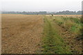 Footpath through the fields