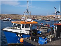 NT6779 : Fishing Boat in Victoria Harbour Dunbar by Jennifer Petrie
