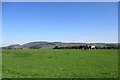 NT0346 : Horses grazing near Weston by Alan O'Dowd
