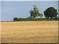 Farmland south of Dodsley Wood