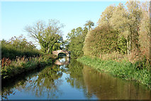 SJ9312 : Canal south of Penkridge in Staffordshire by Roger  D Kidd
