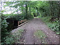 Llwybr ger Blan-nant-y-mab / A path near Blaen-nant-y-mab